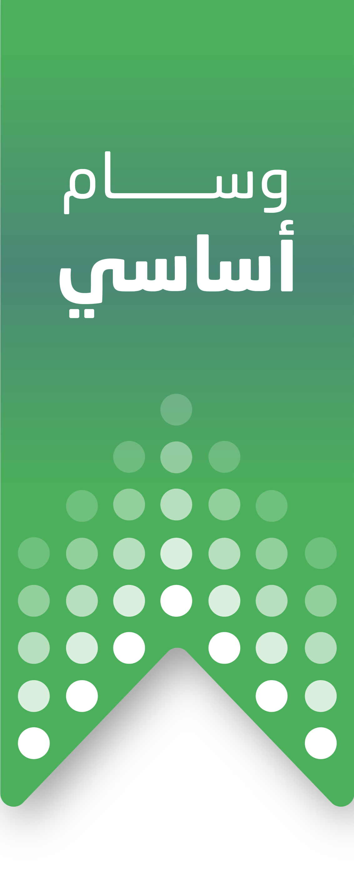 المستوى الأساسي